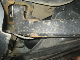 Rost