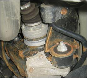 Rost