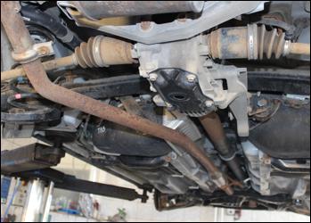 Rost